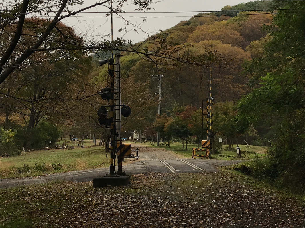 旧篠ノ井線廃線敷けやきの森①紅葉10月下旬〜11月上旬