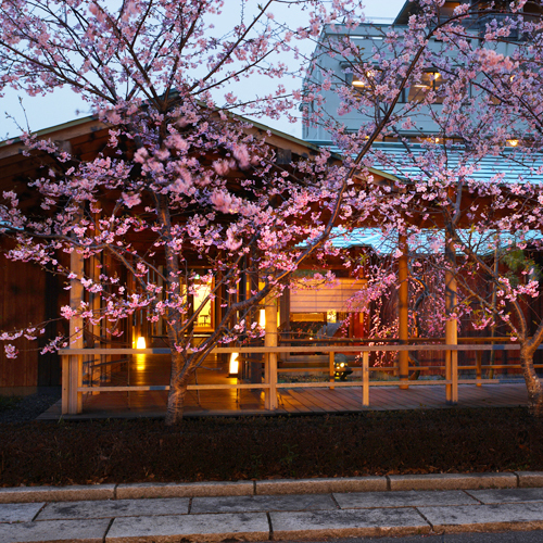 外観（桜）夕景