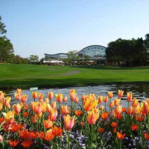 【観光】フローランテ宮崎(写真 春)お車で約４０分