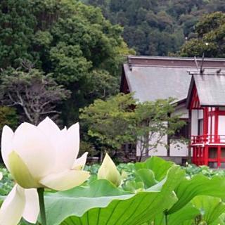 【観光】湖水ヶ池と水沼神社車で約１５分