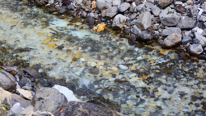 *【青荷川】澄んだ水の流れに心癒される。