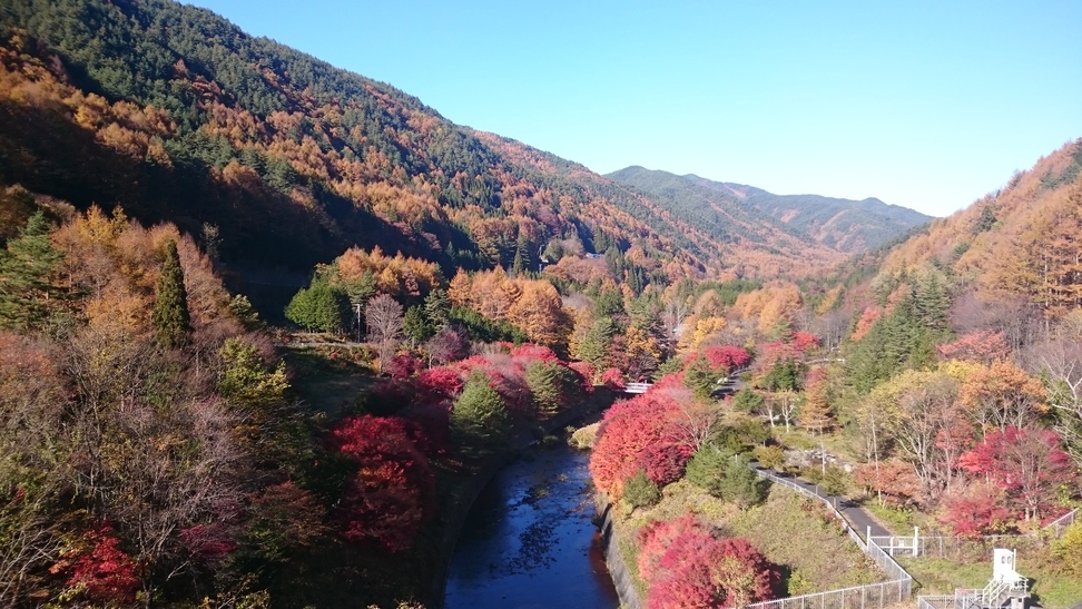 信州川島紅葉の名所【横川峡】