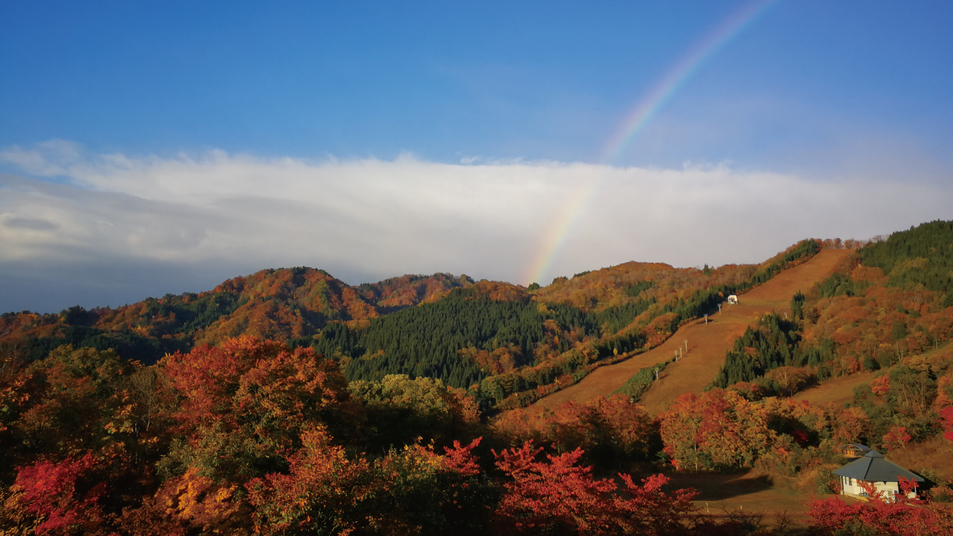 紅葉