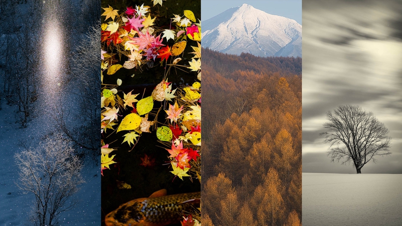 画像？