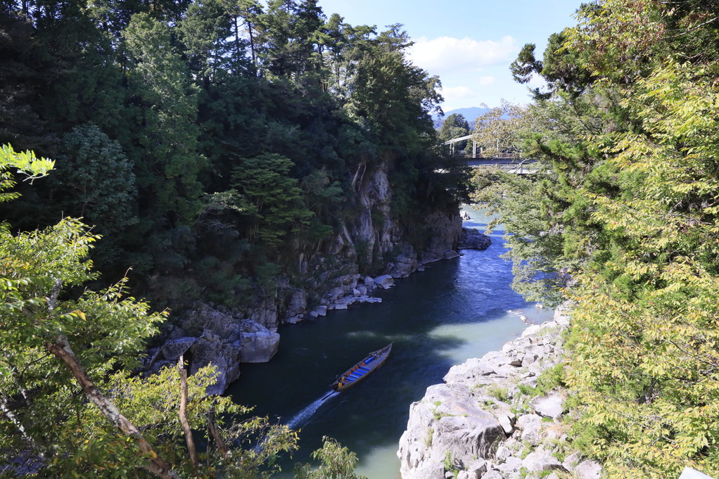 和室12.5畳からの景色