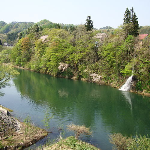 春の和賀川