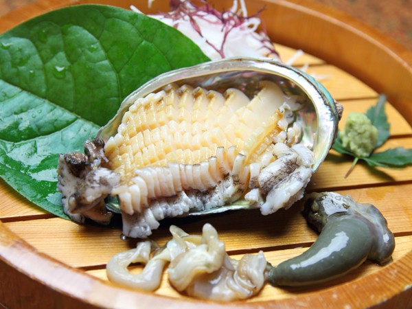 あわびのお刺身