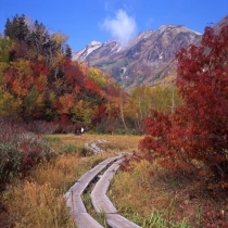 紅葉模様に染まる【栂池自然園】vol.2