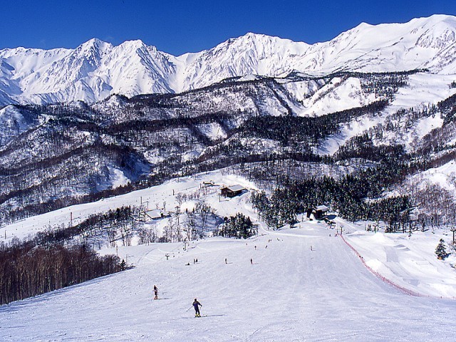 栂池高原スキー場の最上部「栂の森ゲレンデ」