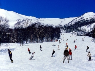 白馬アルペンリゾート栂池高原「ハンの木ゲレンデ」(3:2)