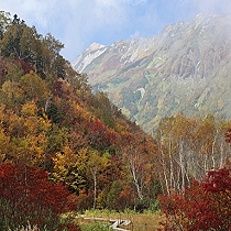 紅葉模様に染まる【栂池自然園】vol.3