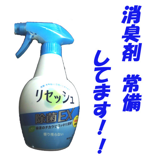 Shingu Sunshine Hotel Image 3, Shingu, Japan