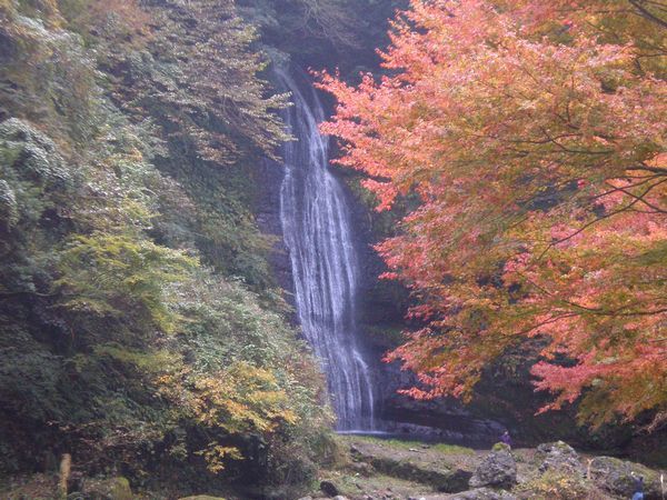 滝と紅葉