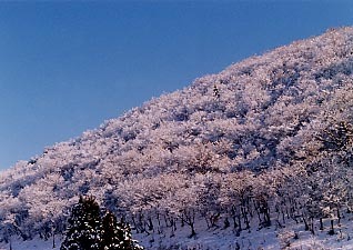 雪山