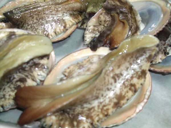 おばあちゃんが採ってきた、相差のあわび