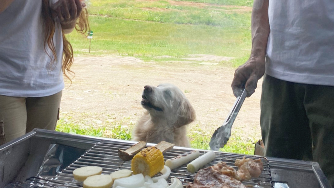 BBQ with Dog