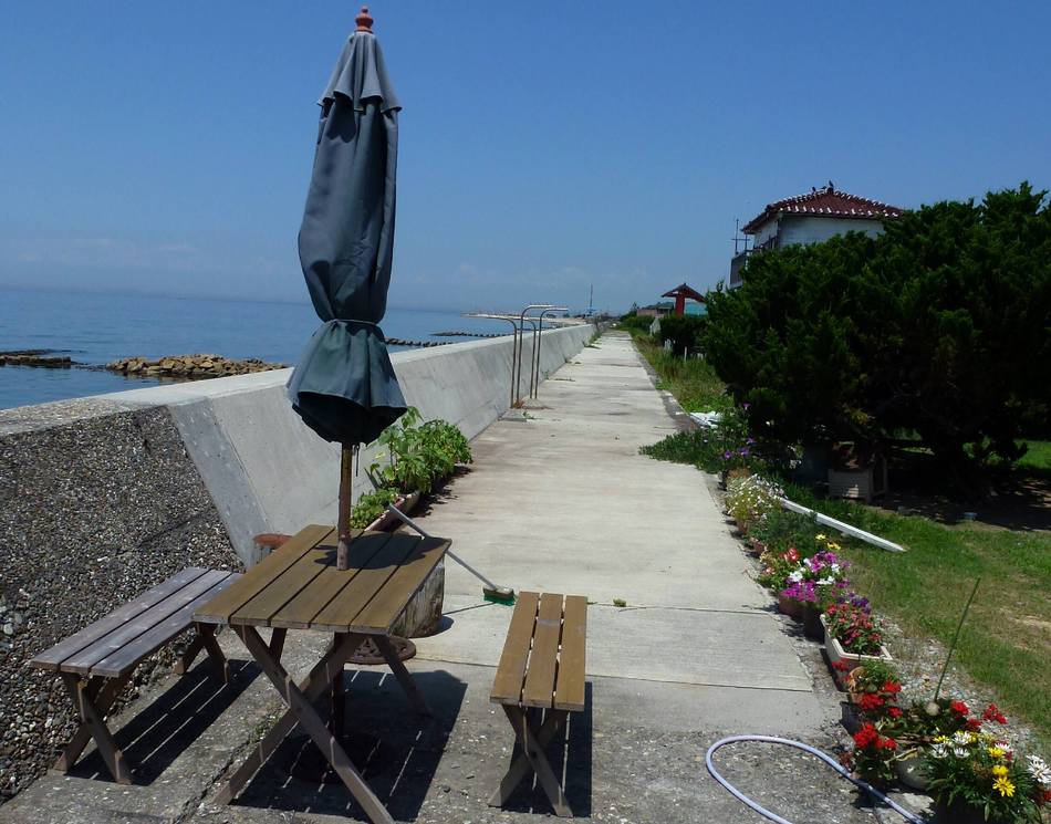 愛犬と散歩、防波堤