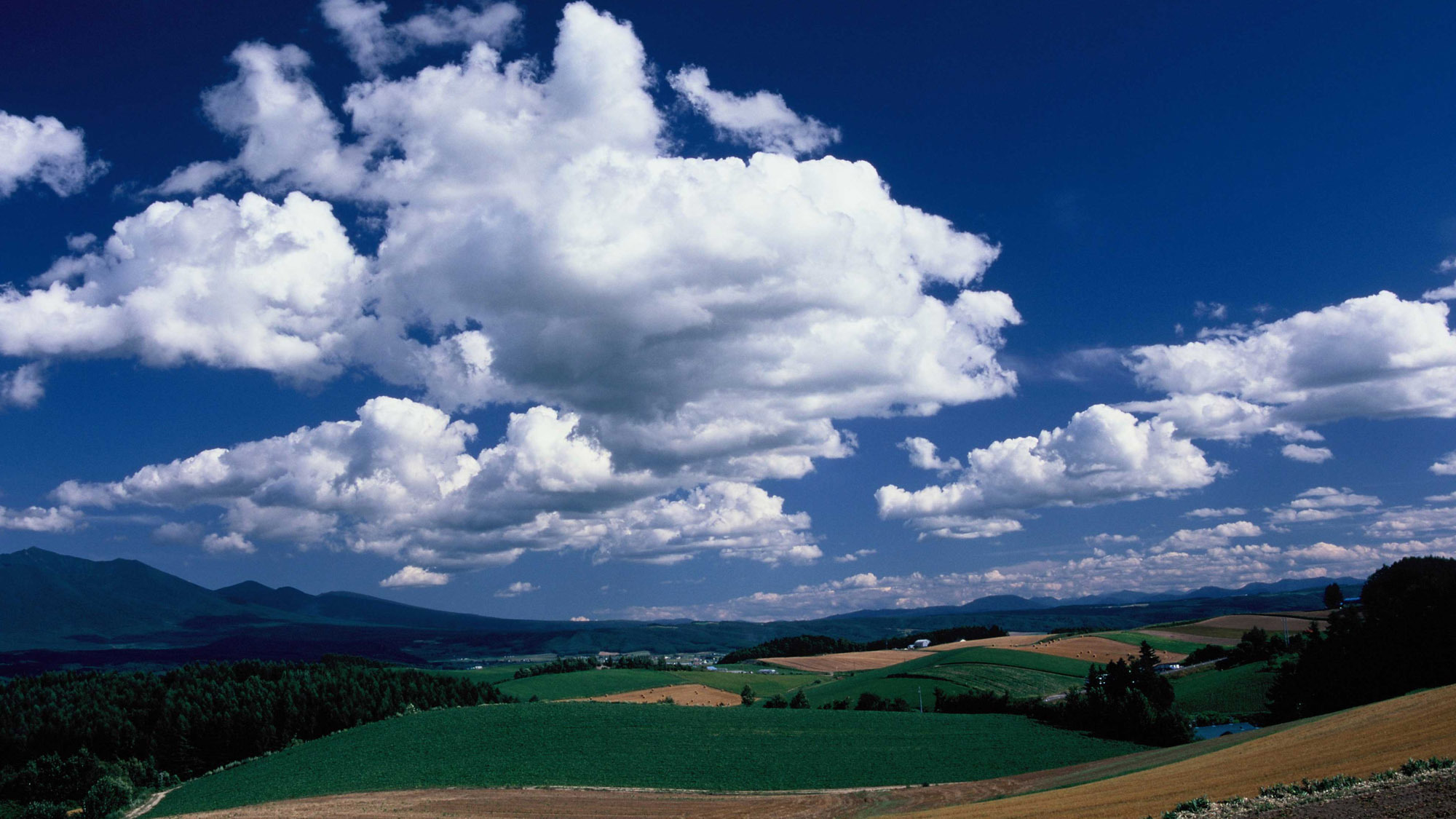 【夏雲湧く】