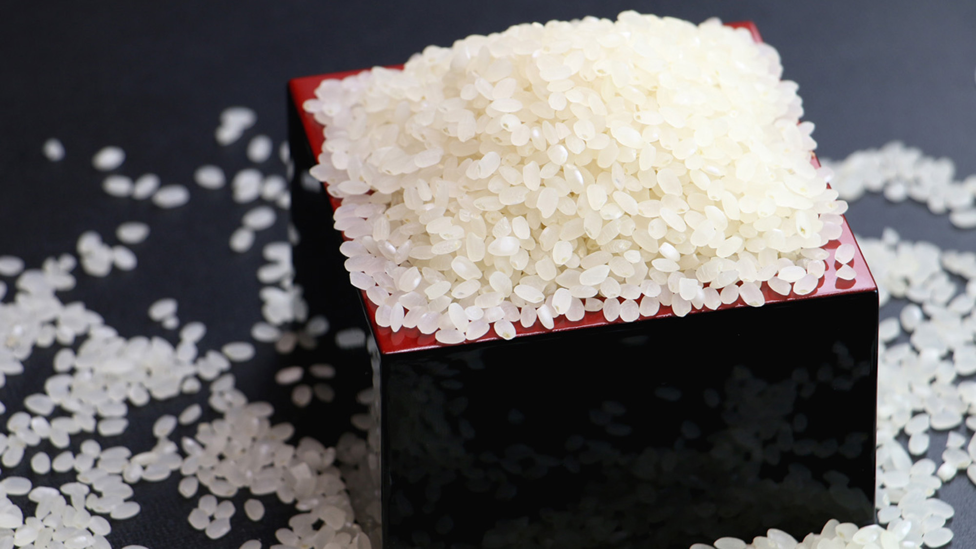 【寿荘のお米】岩船産コシヒカリをご提供いたしております。