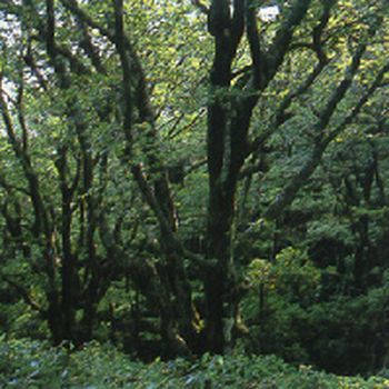 長野山緑地公園（ホテルより車で約30分）