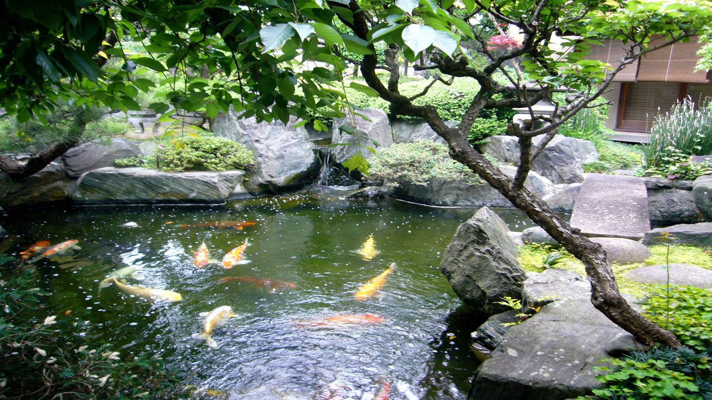 Restaurant & Ryokan Sendan Image 5, Matsuyama, Japan