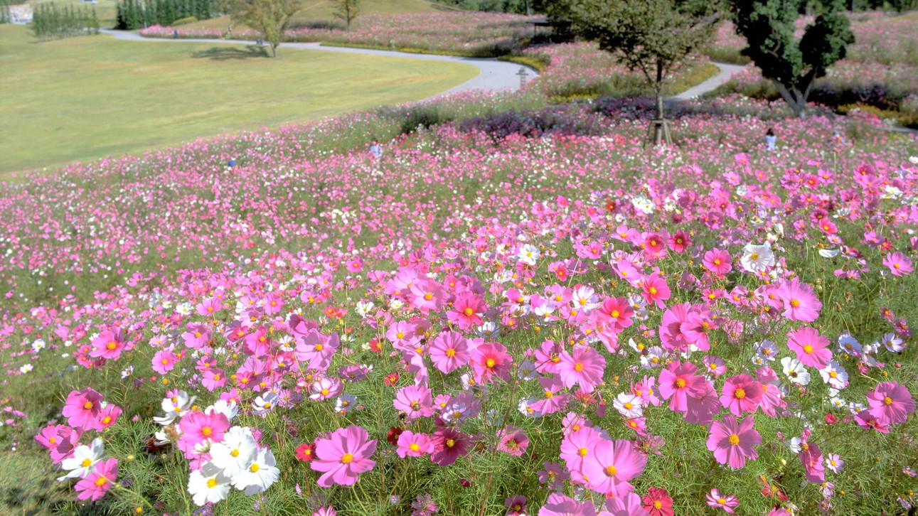 まんのう公園