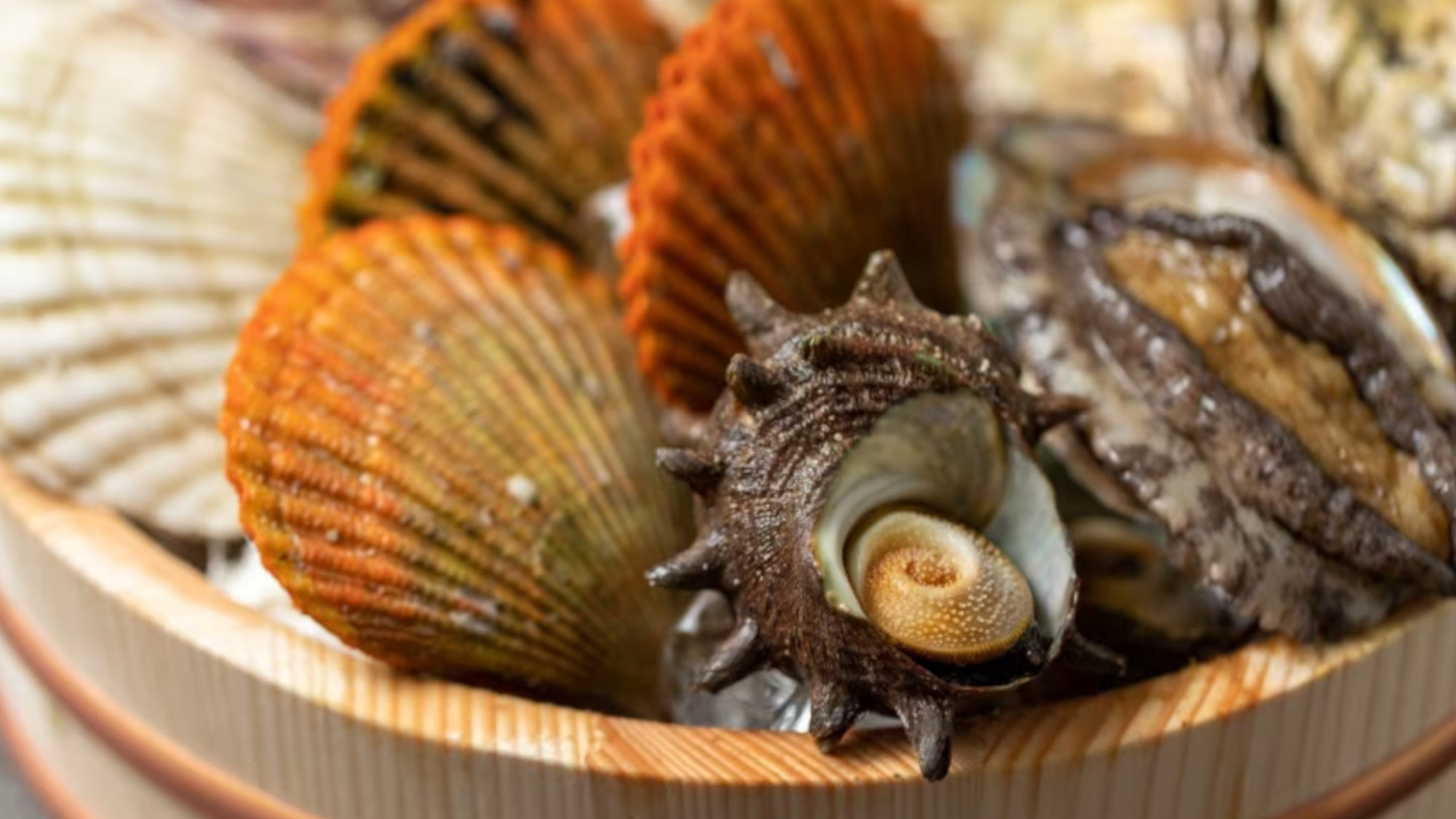 【貝づくし】伊勢志摩の海の宝・貝を贅沢に愉しむ＜1泊2食付き＞