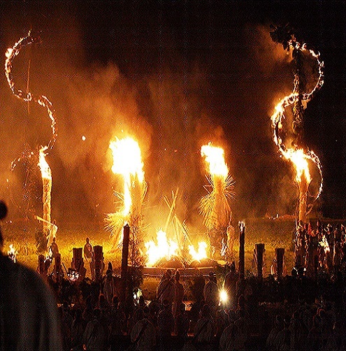 虫と火祭り