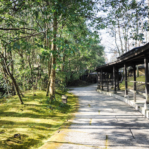 【回廊】1500坪の静かな敷地の中では瑞々しい木々や苔が生きています。深呼吸が気持ちが良いです