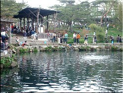 那須高原南ヶ丘牧場さわやかな高原の風を感じながら幸せなひと時をお過ごしください♪