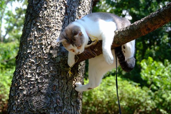 だれか助けて〜！