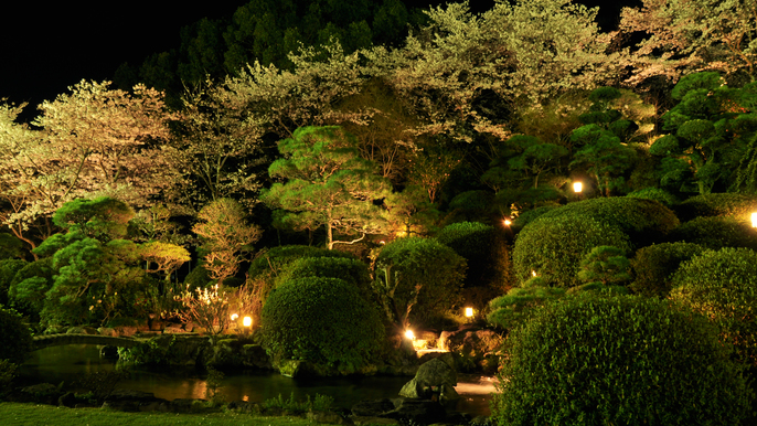 ライトアップされた夜の庭園