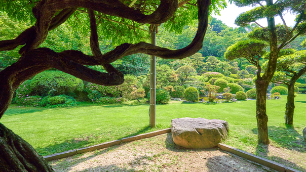  木陰より望む庭園。一休み。