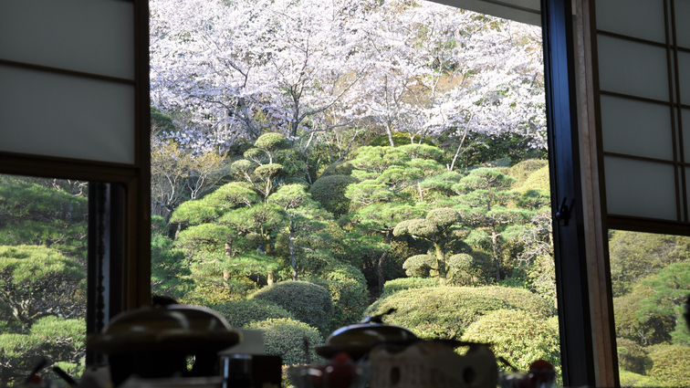 【朝食】庭園を望む朝食会場。桜の季節は絶景。