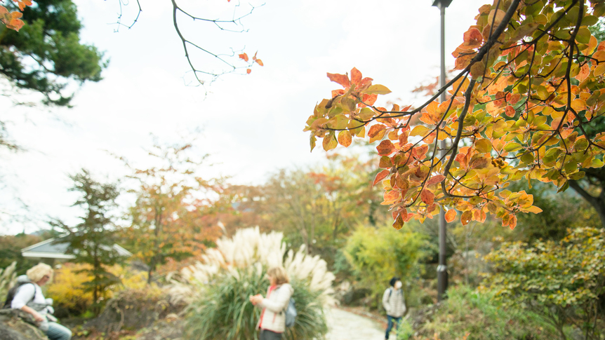 *強羅公園/秋には紅葉を楽しむことが出来ます。