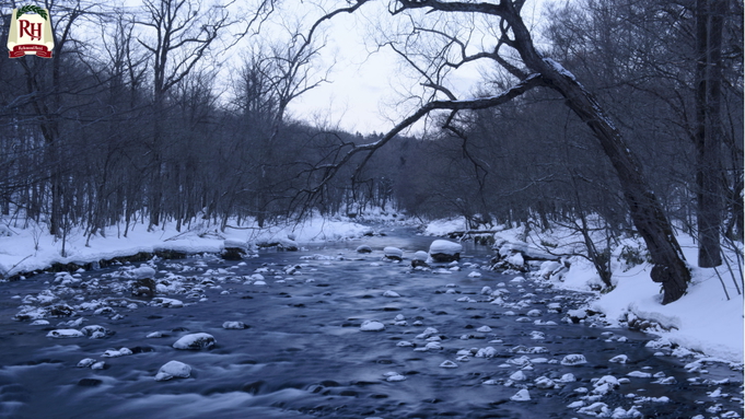 【奥入瀬渓流】十和田