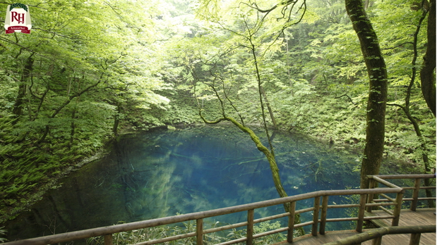 【十二湖青池】 深浦町