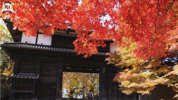 【弘前公園】弘前市