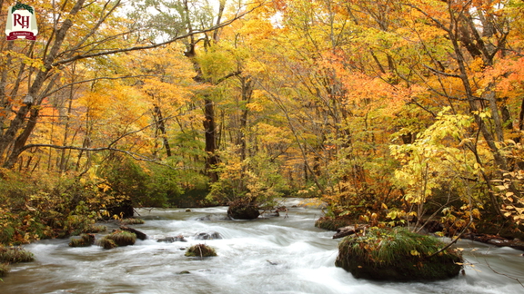 【奥入瀬渓流】十和田
