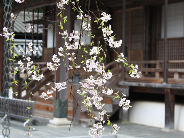 高野山温泉　福智院