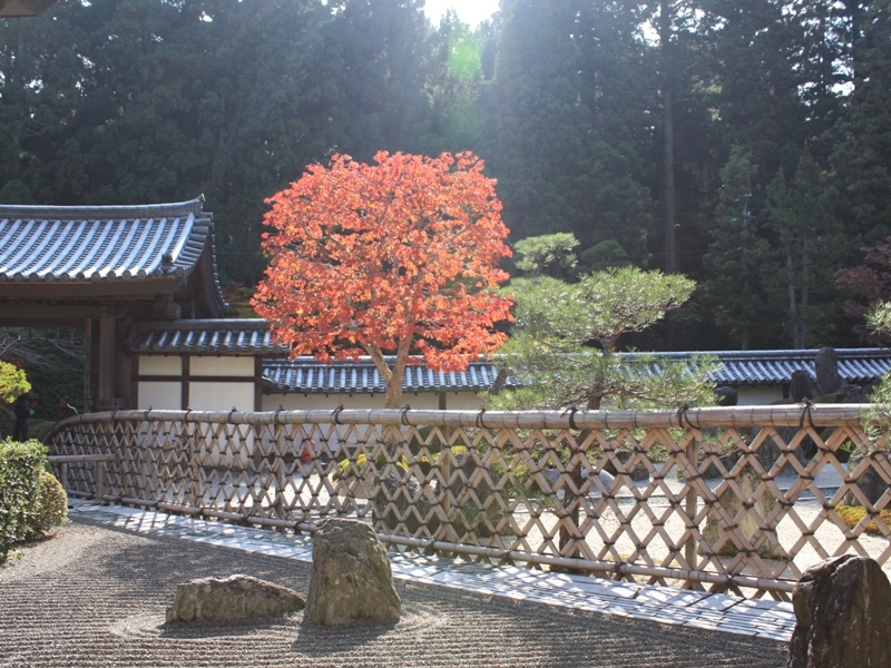 高野山温泉 福智院