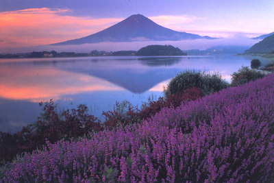 富士河口湖温泉　花水庭　おおや