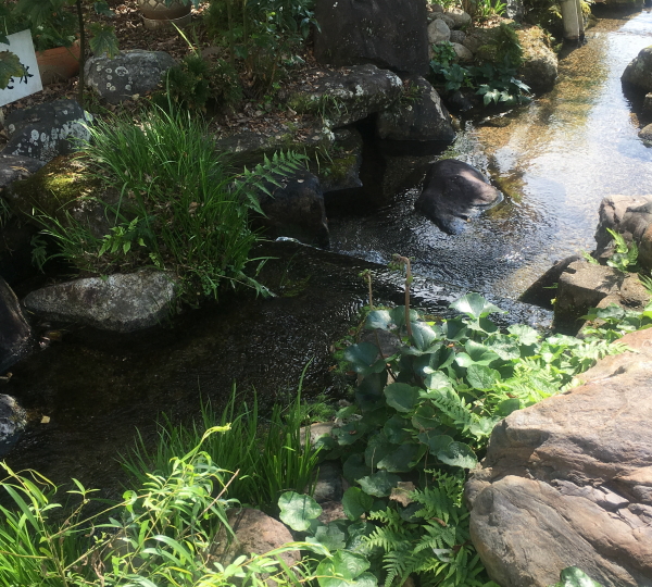 庭園池スペース
