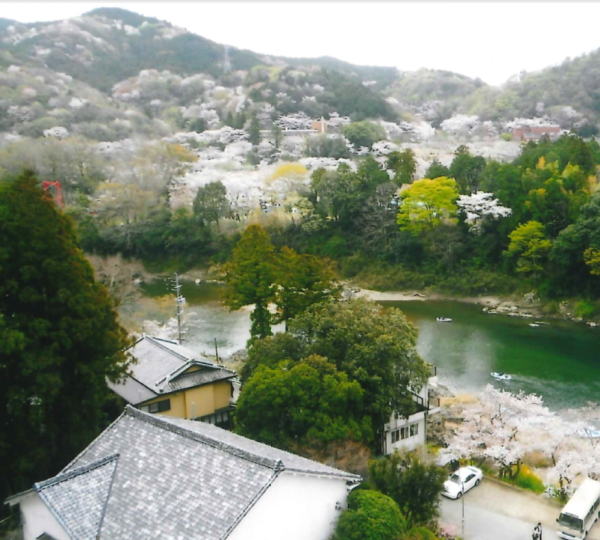 桜の季節