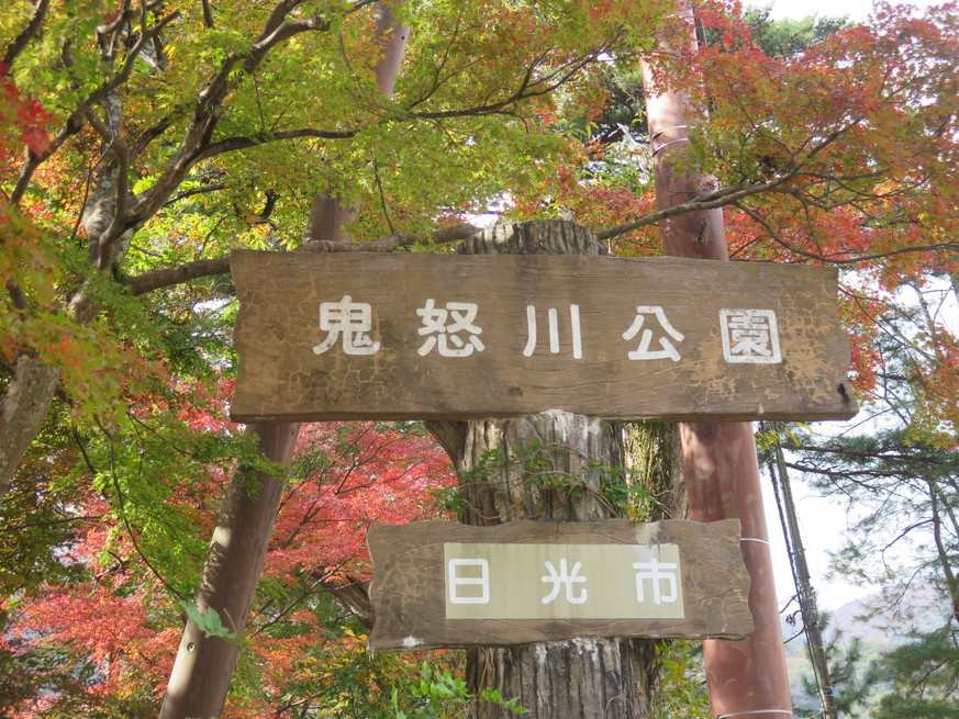 鬼怒川公園紅葉R5