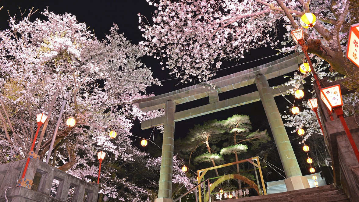 護国神社ライトアップ