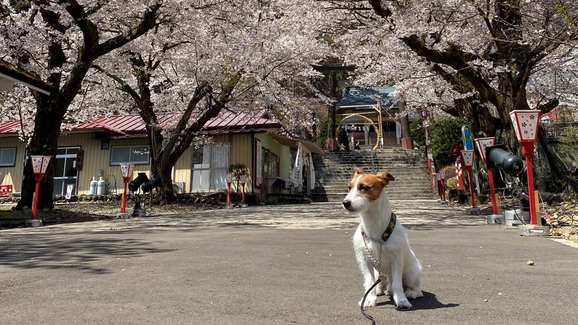 護国神社