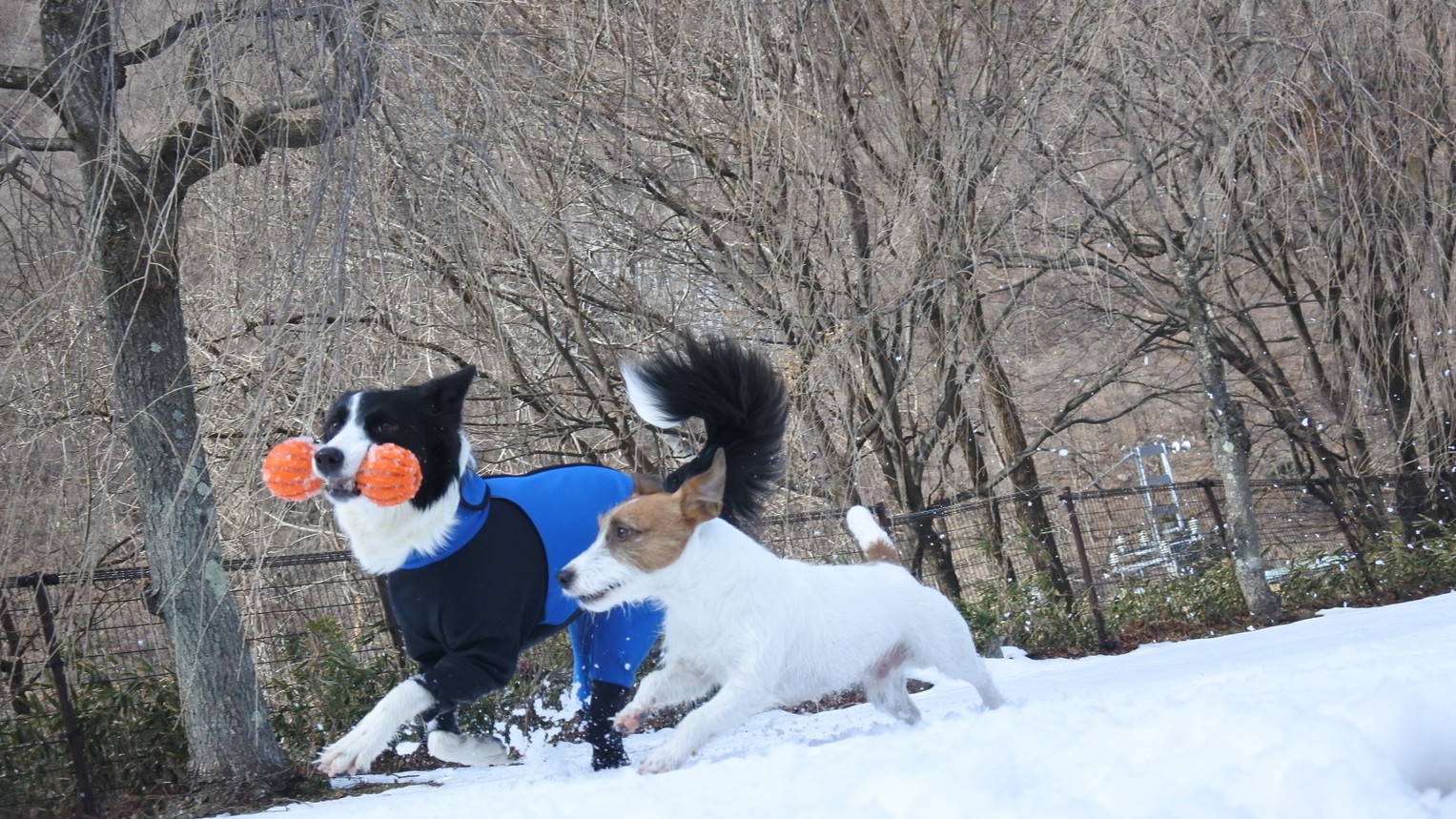 雪遊び