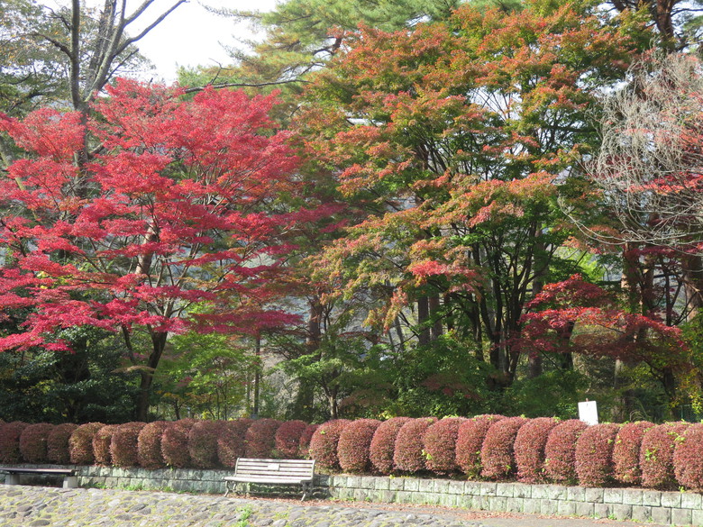 鬼怒川公園紅葉R5-1