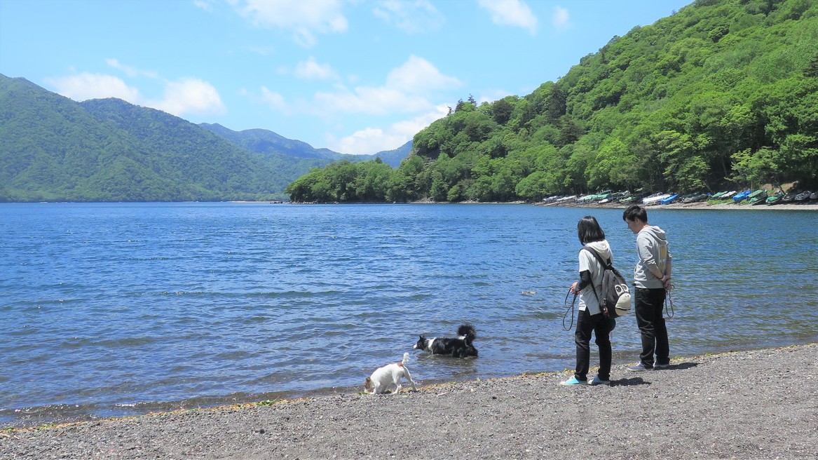 中禅寺湖